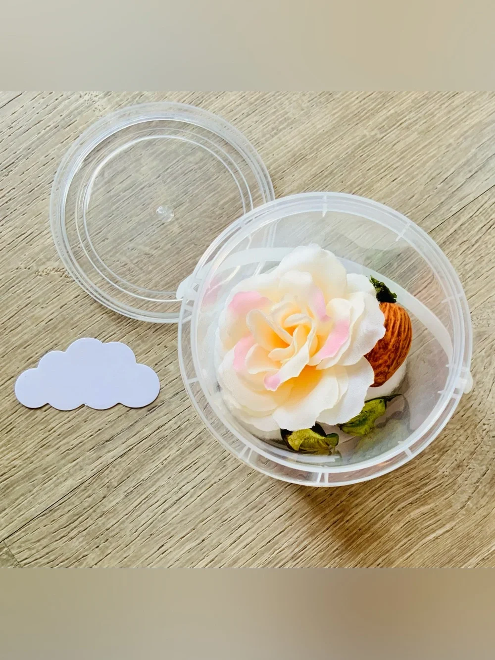 NEW📚 Hand Crafted Squish-A-Tarium (one random color/scene/4 squishies) OS